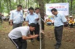 Phú Yên: Chăm sóc cao su đúng kỹ thuật - nâng cao thu nhập cho người trồng 